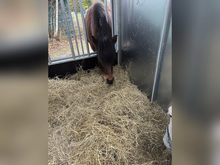 INNOVATIVE FUTTERMACHINE aus Finnland 