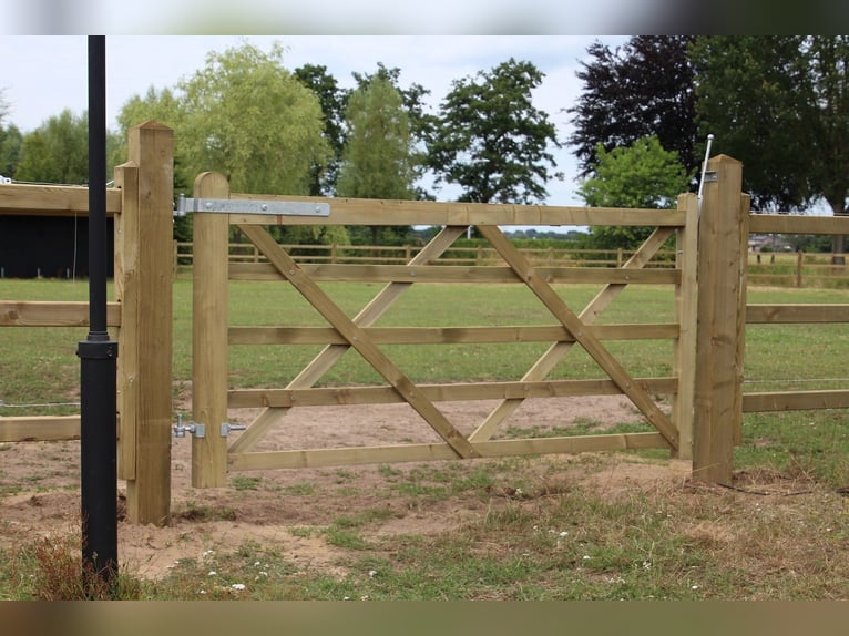 Portail de jardin | Portails de cour | Clôture de jardin et portail