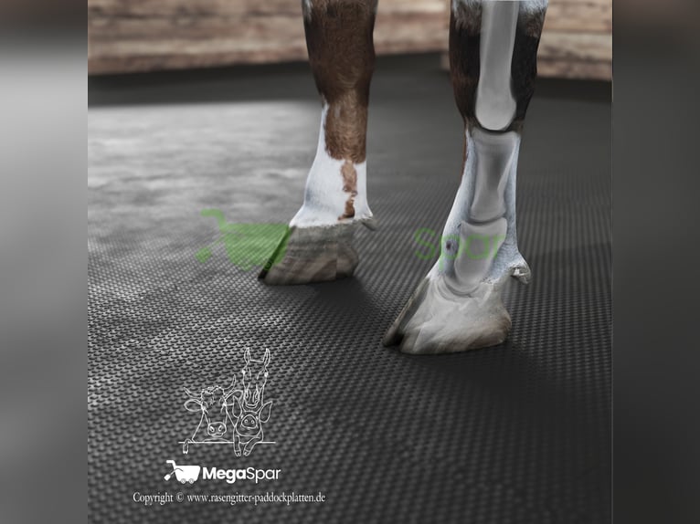 Tapis en caoutchouc pour bovins et chevaux – Matelas d’écurie et de boxe de haute qualité, tapis pou