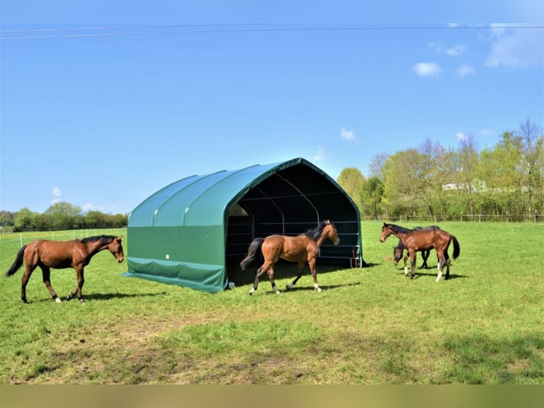 Tente avec action de 900 g/m² – Abri pour pâturage, abri pour chevaux, tente de stockage, tente, abr