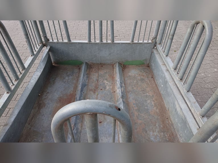Viereckraufe von Patura, mit Sicherheits-Palisadenfressgittern, 8 Fressplätze
