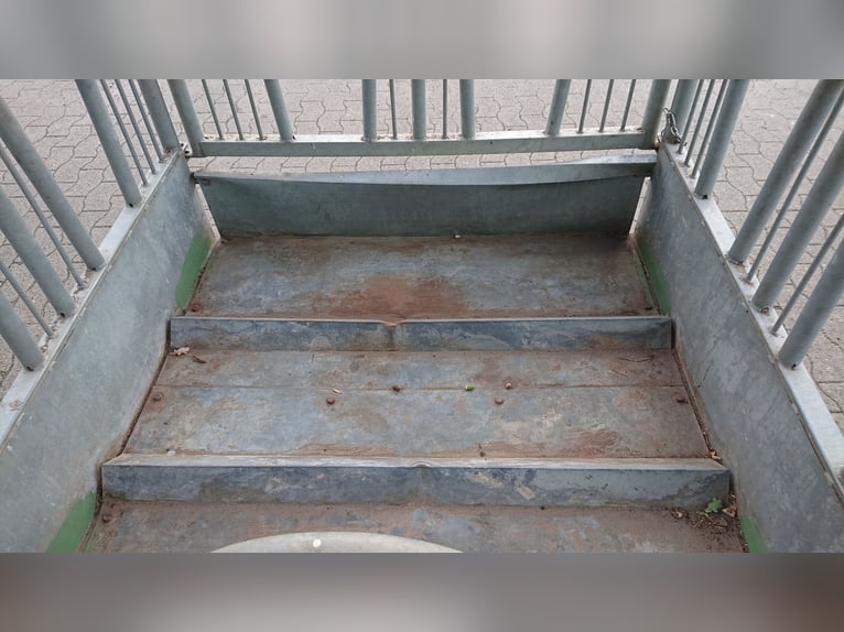 Viereckraufe von Patura, mit Sicherheits-Palisadenfressgittern, 8 Fressplätze