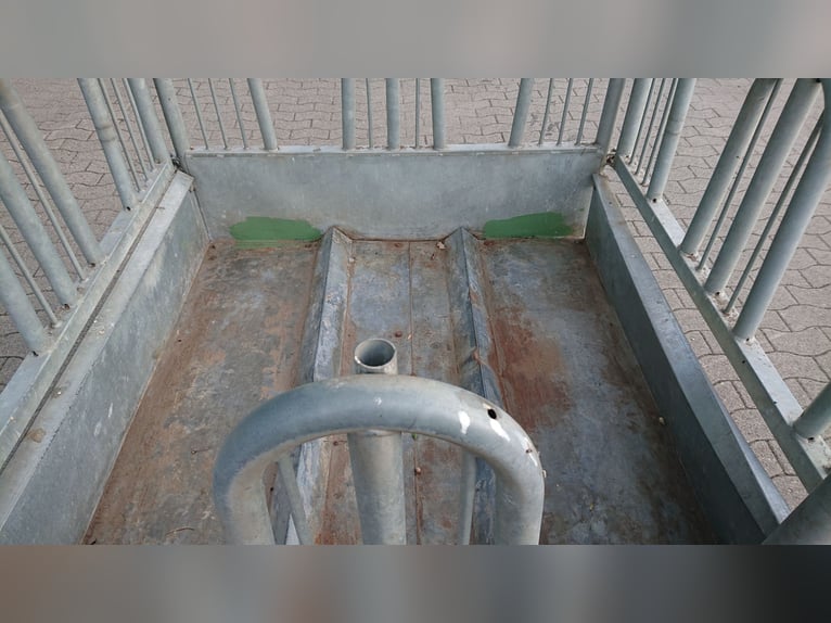 Viereckraufe von Patura, mit Sicherheits-Palisadenfressgittern, 8 Fressplätze