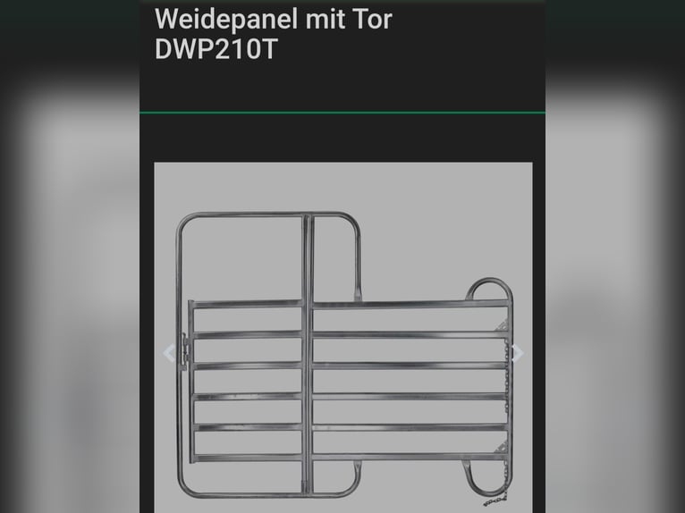 Weidebox / Panelbox / Rehabox / Pferdebox - komplett 4,20 x 4,20 x 1,73 cm