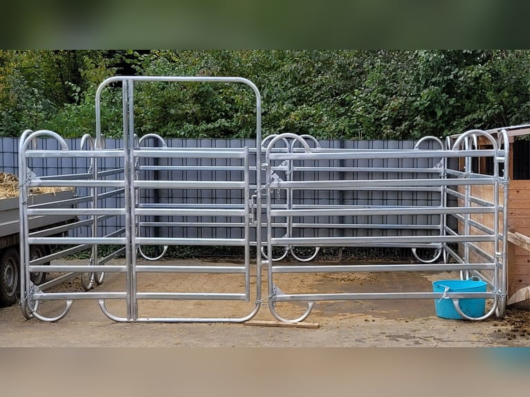 Weidebox / Panelbox / Rehabox / Pferdebox - komplett 4,20 x 4,20 x 1,73 cm