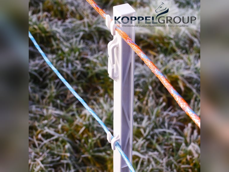 Weidekordel, MAXALON, Weidezaunseil, Koppeldraht, 500m 6mm