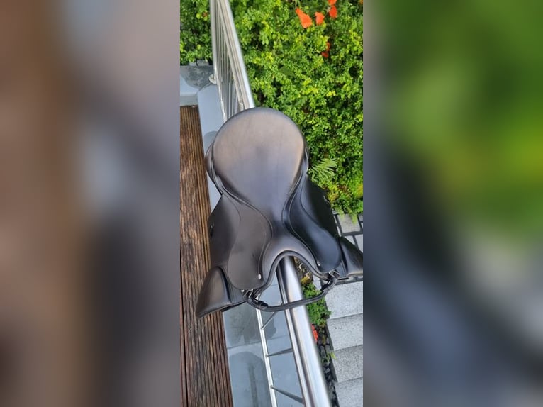 Passier Youngstar II Selle de dressage 16" 33/34