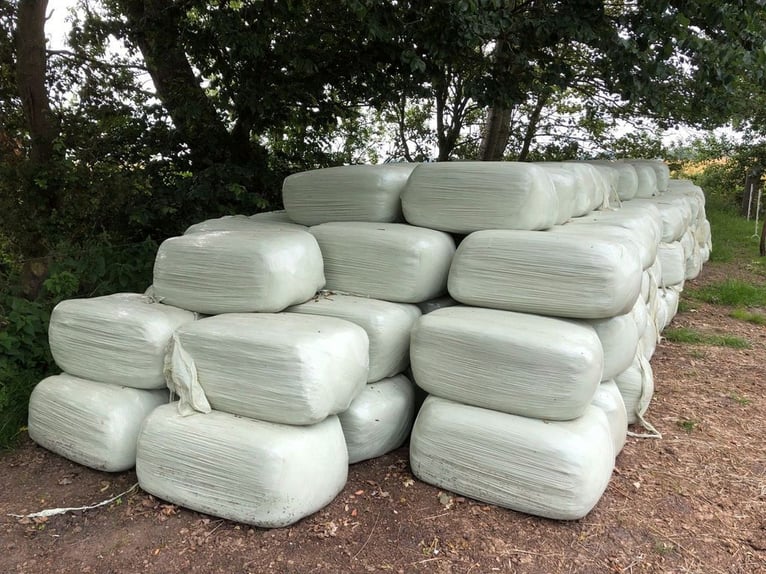 Foin biologique, ensilage, silo, petits balles