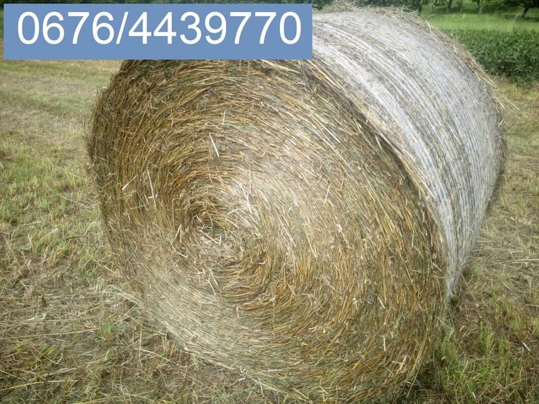 Heulage - Gärheu - Silage