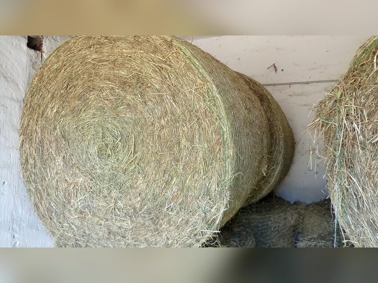 Foin rond bio 2024, retrait ou livraison