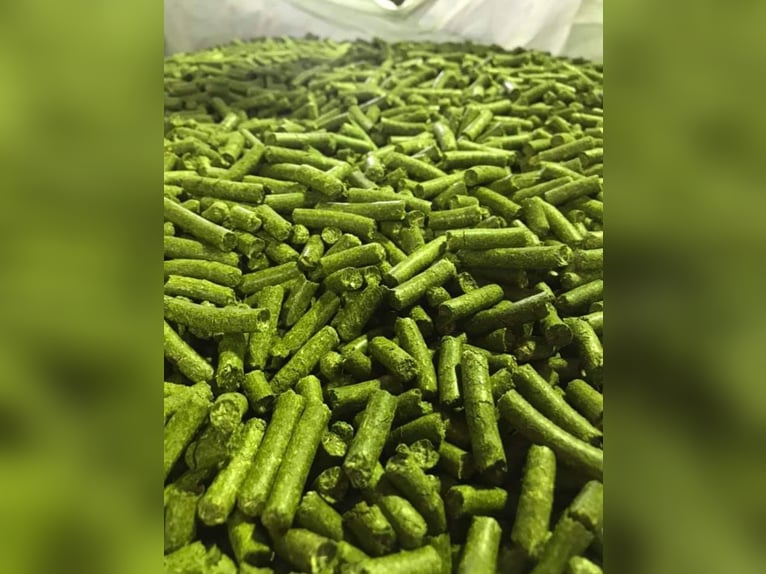 Cobs et pellets de luzerne régionaux, pellets de foin, pellets de luzerne, cobs, pellets, grands sac