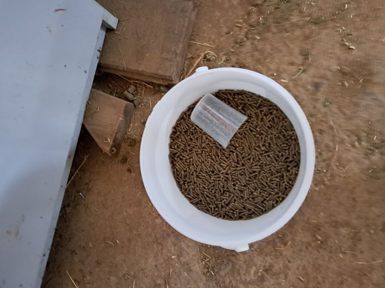 nature's Best  Aktiv und fit kompakt Mineralfutter Pferde