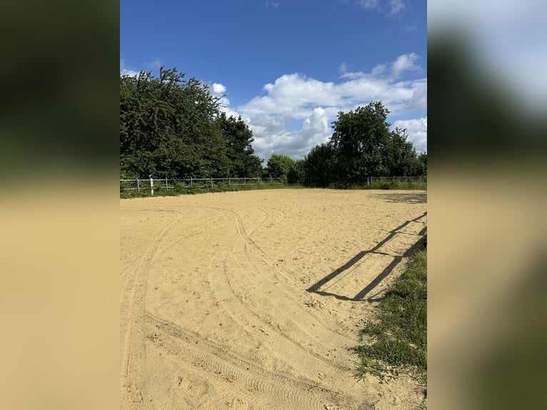 Sable de saut Kirchhellener