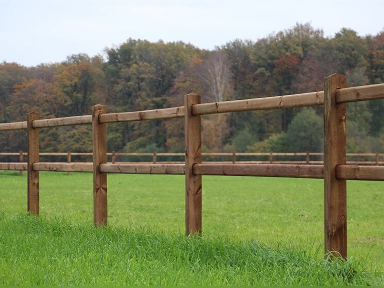 Clôture de jardin | Clôture en bois | Barrière en bois pour jardin | Clôture en bois pour jardin