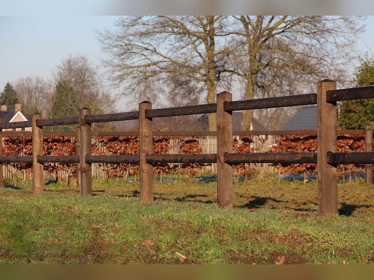 EN STOCK ! Clôture pour jardin | Clôture en bois | Barrière en bois