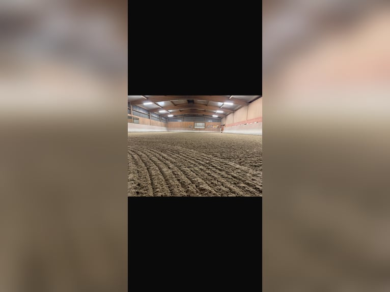 Revêtement de sol pour manège