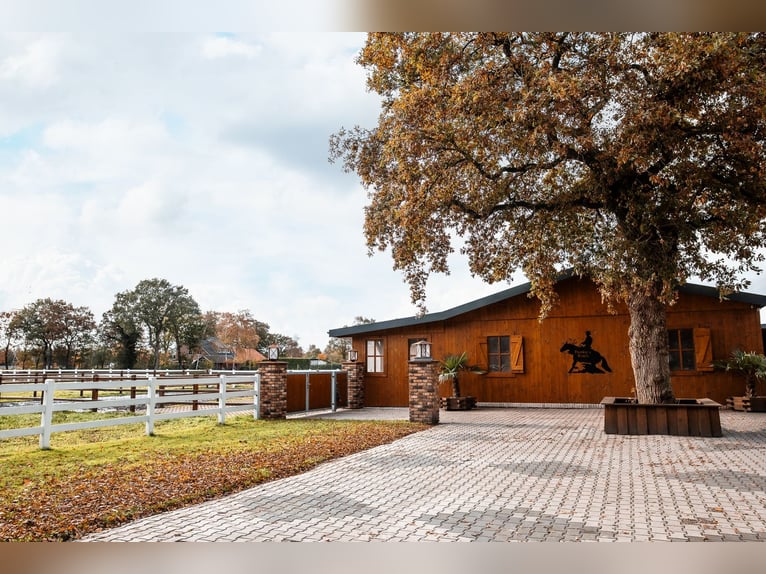 Pferdehof zu verkaufen im Emsland – Schicke Ranch mit gehobenem Wohnkomfort!