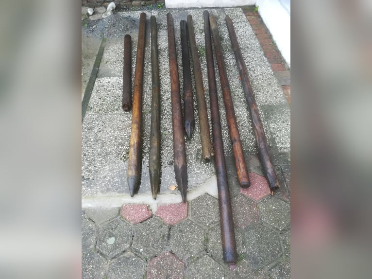 9 Weidepfähle/Holzpfähle 