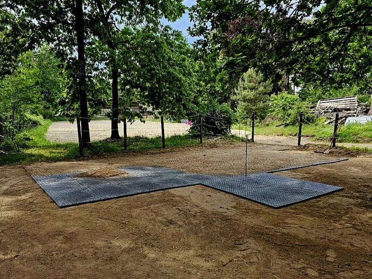 Paddock Platten 