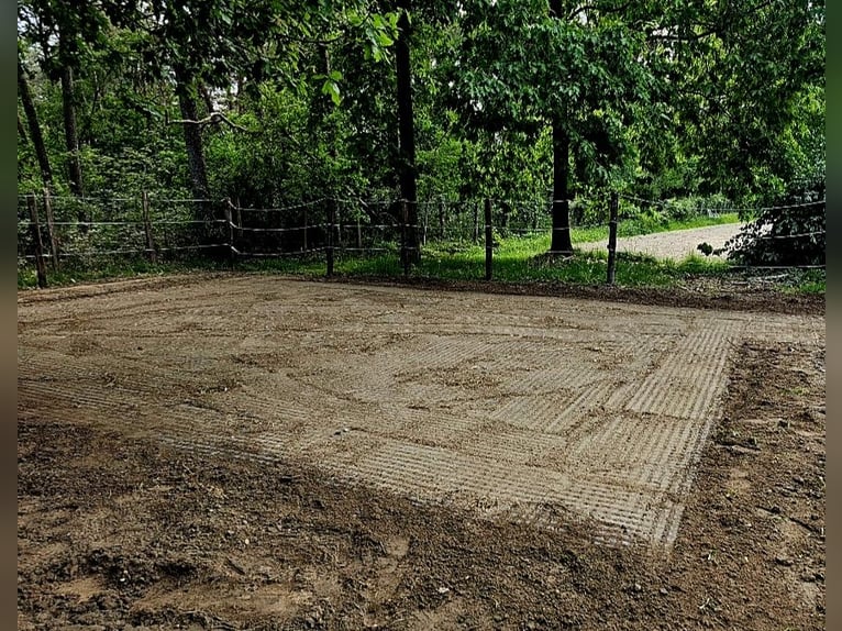 Paddock Platten 