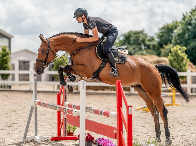 Photographie équestre