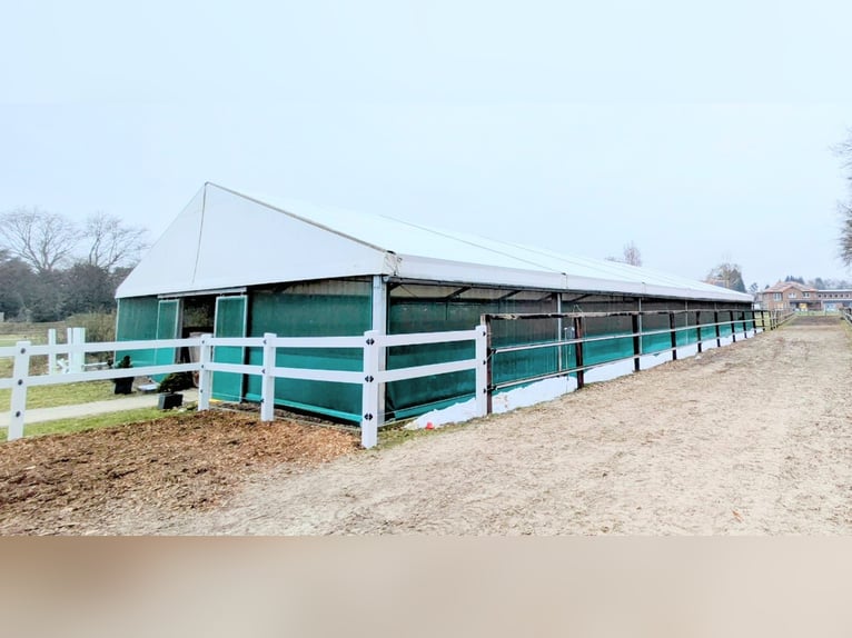 Tente de manège 15x30 m à vendre, idéale comme tente d’équitation, entrepôt ou tente pour événements