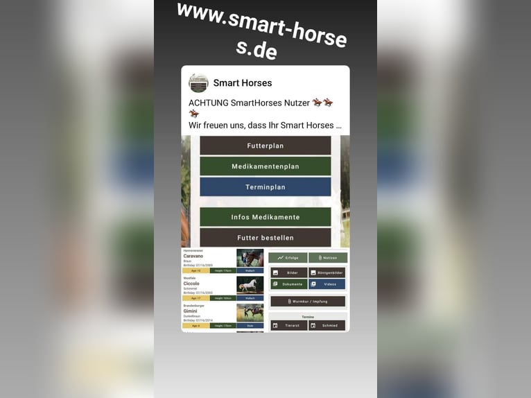 Verwalte Deine Pferde in der Smart-Horses APP Basic kostenlos