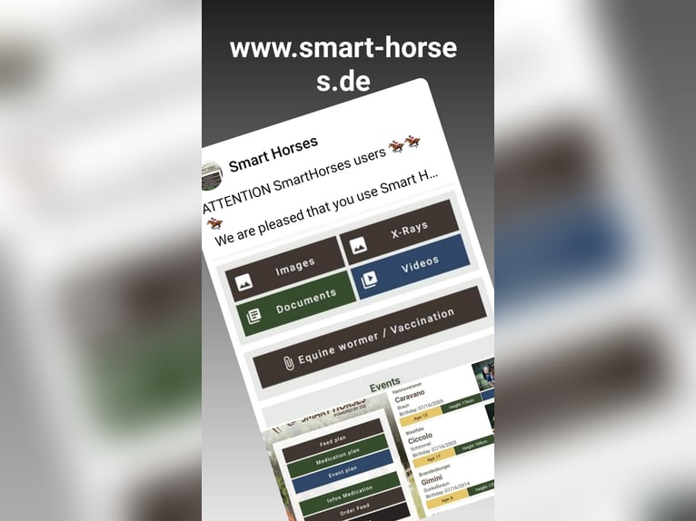 Verwalte Deine Pferde in der Smart-Horses APP Basic kostenlos