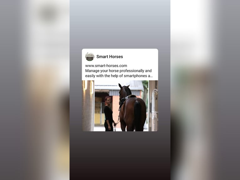 Verwalte Deine Pferde in der Smart-Horses APP Basic kostenlos