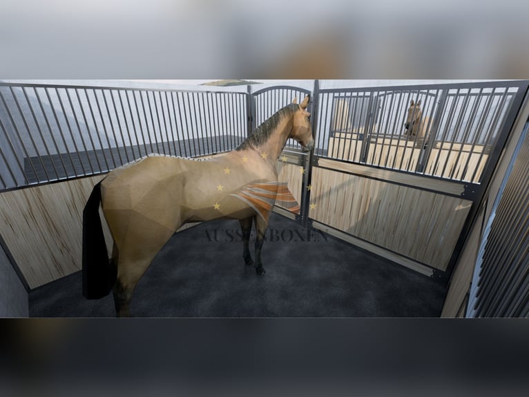 Achat de box – Box pour chevaux et boxes d’écurie | Cloison de box – Panneaux de séparation pour box