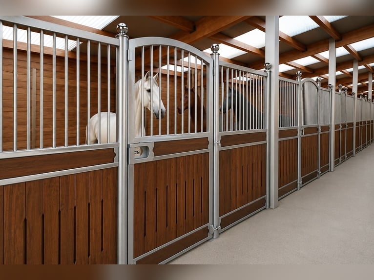 boxes d’écurie, façades d’écurie et systèmes de boxes | achat de boxes pour chevaux – boxes intérieu
