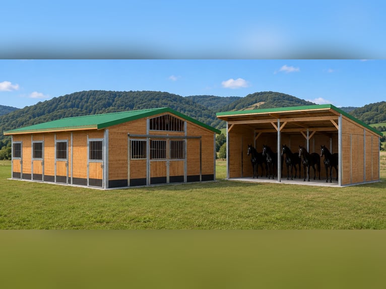 Construction d’un box à ciel ouvert & abri pour chevaux, abri de pâture | Hutte pour pâture