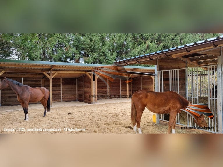 Construction d'un box ouvert & abri pour chevaux, abri de pâture - cabane pour chevaux