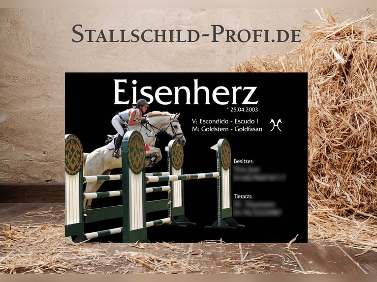 Votre plaque de boxe personnalisée pour votre cheval – créez-la vous-même ou faites-la réaliser par 