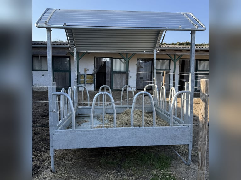 Mangeoire pour chevaux