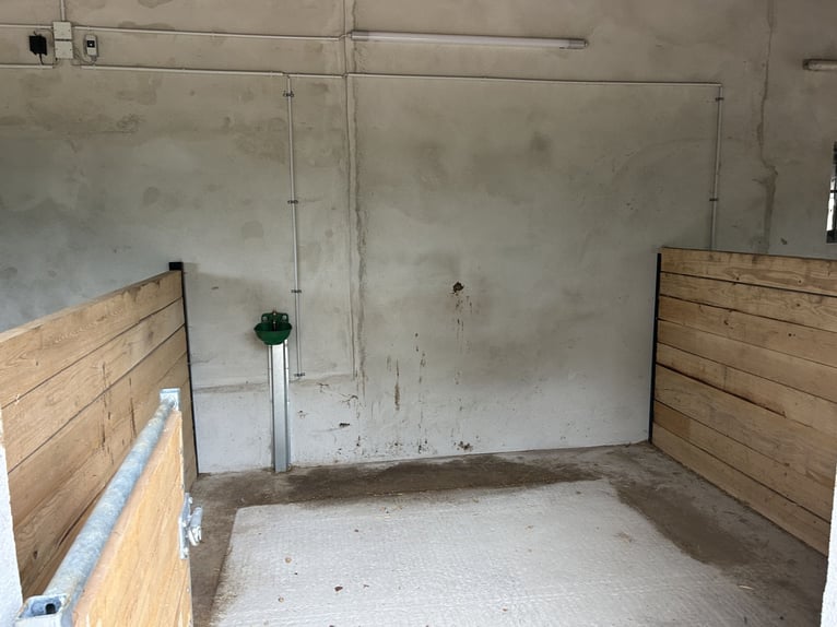 Außenboxen frei ab sofort 