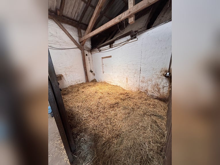 Box available – Full board – Riding facility – Boarding stable