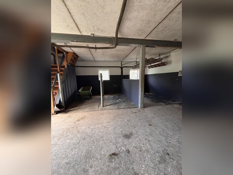 Box available – Full board – Riding facility – Boarding stable