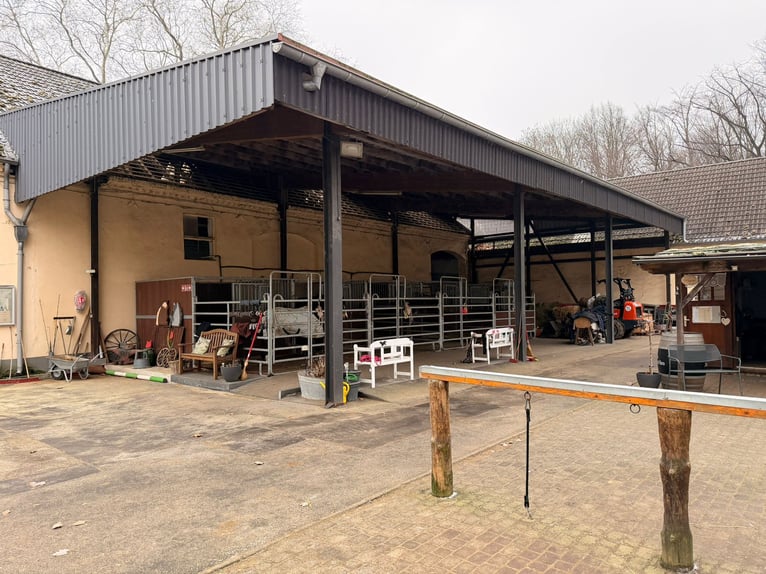 Box mit eigenem Paddock und Weide, zentrumnah