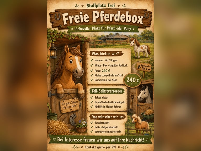 Box or paddock space available