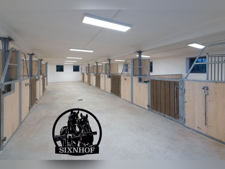 Boxe pour chevaux / Box dans un centre équestre / Écurie / Location de box