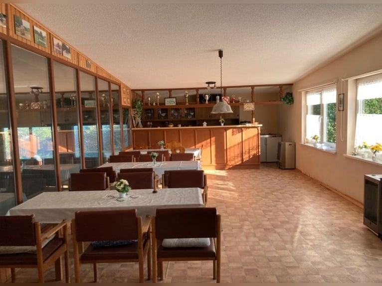 Boxes disponibles à partir du 1er septembre / Nouvelle ouverture