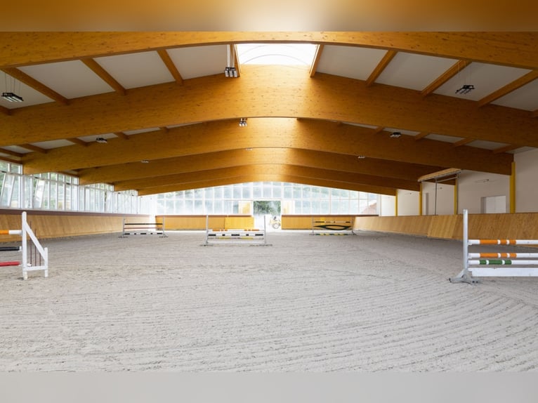 Boxes disponibles dans une installation de premier ordre en Mecklembourg – Construction neuve !!