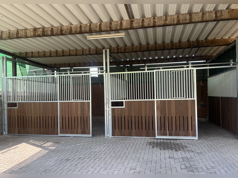 Boxes pour chevaux disponibles, place pour retraité, espace d'accompagnement, 24/7, foin, pâturage t