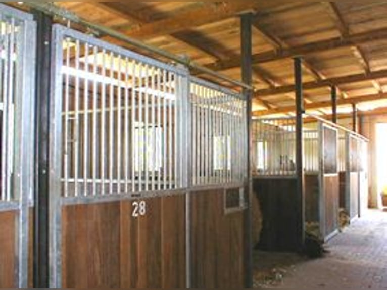 Centre équestre Berlin Nord-Est | Boxes disponibles