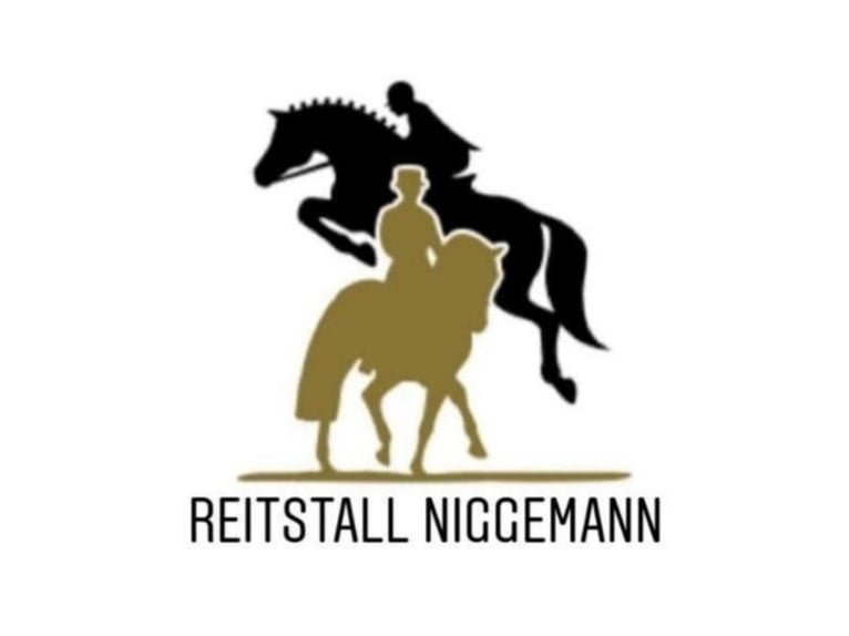 Familiäre Reitanlage hat zwei Pferdeboxen mit viel Auslauf frei