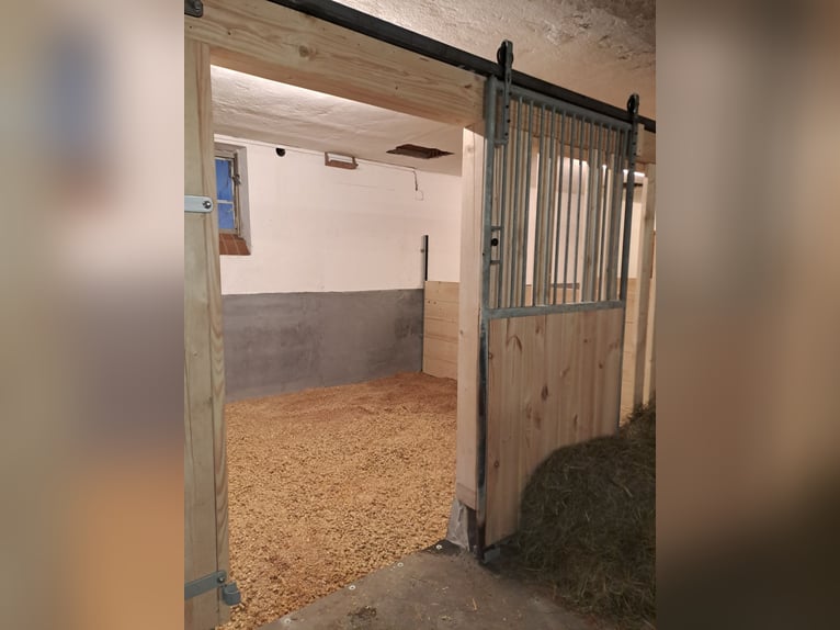 Je propose une place de box ou de paddock.