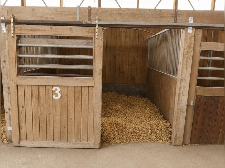 Pâturage idyllique à louer, comprenant 8 boxes, paddocks extérieurs, manège (entièrement ou partiell