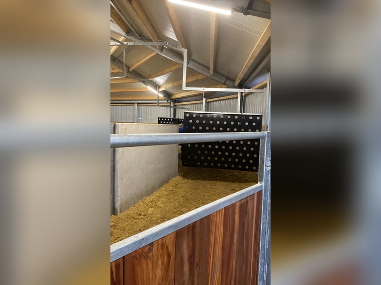 Pferdebox auf Top Anlage
