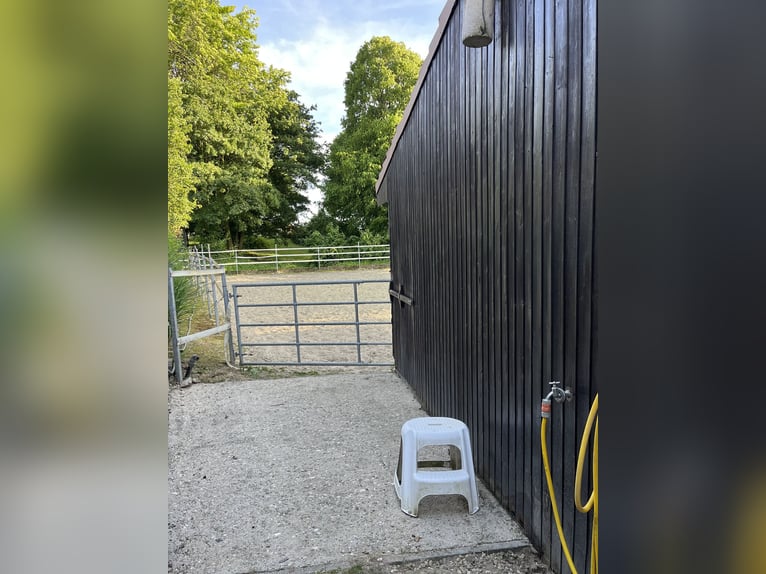 Place de pension dans un petit pensionnat privé disponible